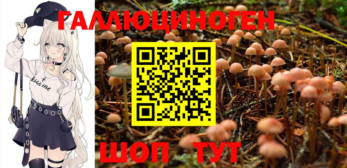 Междуреченск  Псилоцибиновые грибы MAGIC MUSHROOMS  Вход с VPN 