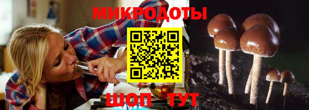 Псилоцибиновые грибы Psilocybine cubensis Междуреченск